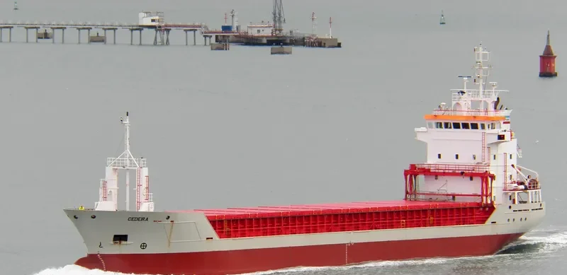 CELTIC VOYAGER General Cargo IMO 9125671
