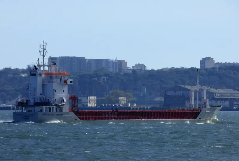 CELTIC VOYAGER General Cargo IMO 9125671 photo 6