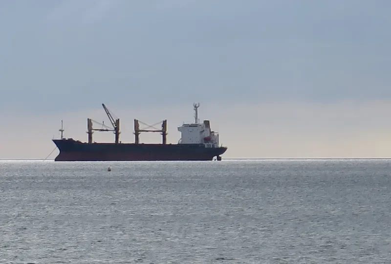 HE FU Bulk Carrier IMO 9125786 photo 2