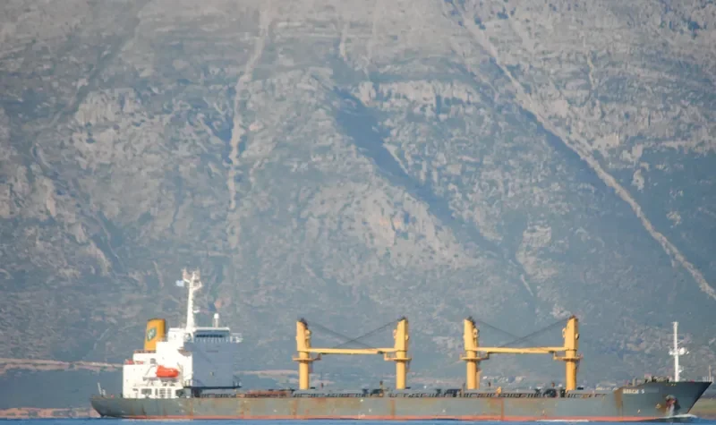HE FU Bulk Carrier IMO 9125786 photo 3