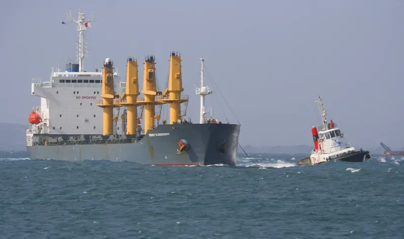 HE FU Bulk Carrier IMO 9125786 photo 6