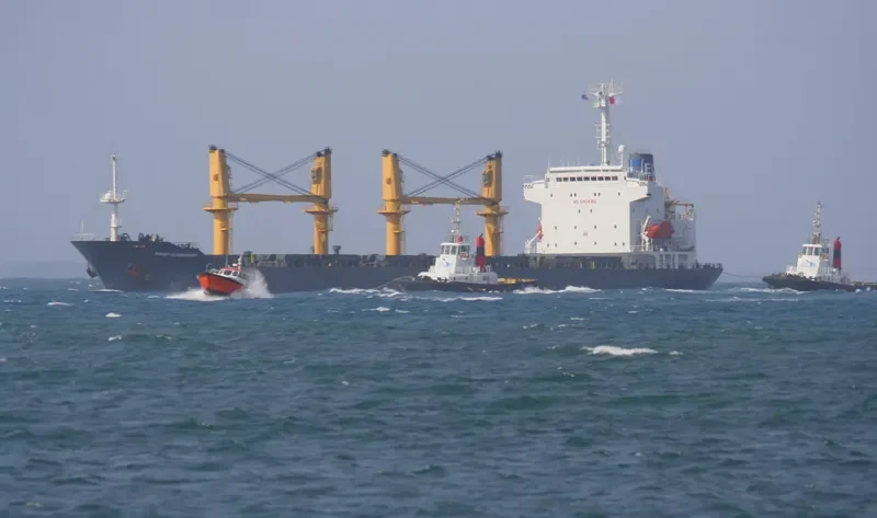 HE FU Bulk Carrier IMO 9125786 photo 7