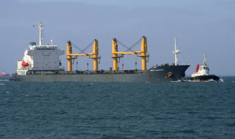HE FU Bulk Carrier IMO 9125786 photo 8