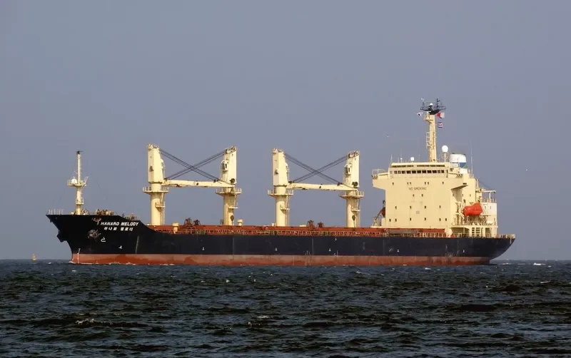 HANARO MELODY Bulk Carrier IMO 9125798