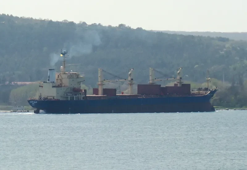 HANARO MELODY Bulk Carrier IMO 9125798 photo 3