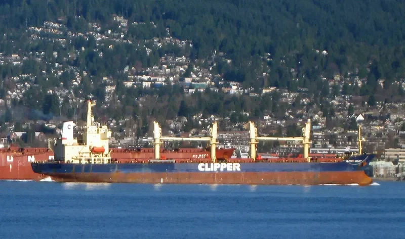 HANARO MELODY Bulk Carrier IMO 9125798 photo 4