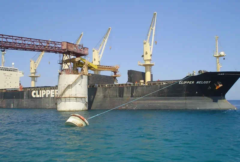 HANARO MELODY Bulk Carrier IMO 9125798 photo 5