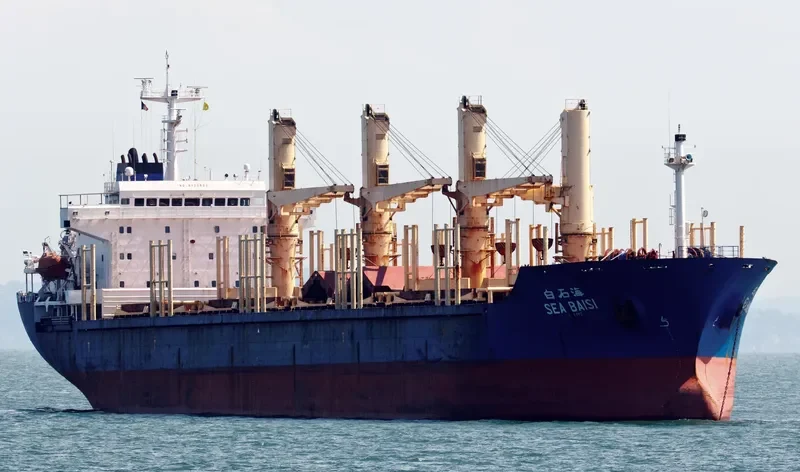 SEA BAISI Bulk Carrier IMO 9125803 photo 6