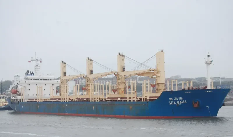 SEA BAISI Bulk Carrier IMO 9125803 photo 8