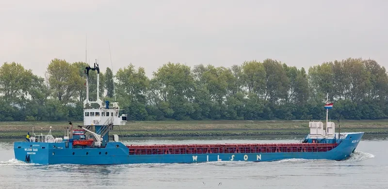 WILSON SAAR General Cargo IMO 9125841 photo 10