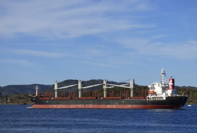 MICROSTEP Bulk Carrier IMO 9125918