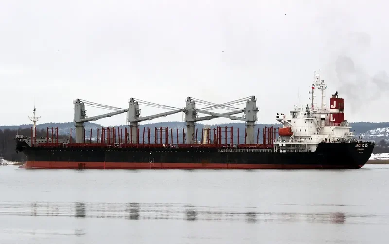MICROSTEP Bulk Carrier IMO 9125918 photo 6