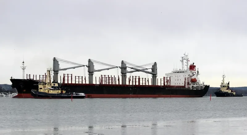 MICROSTEP Bulk Carrier IMO 9125918 photo 7