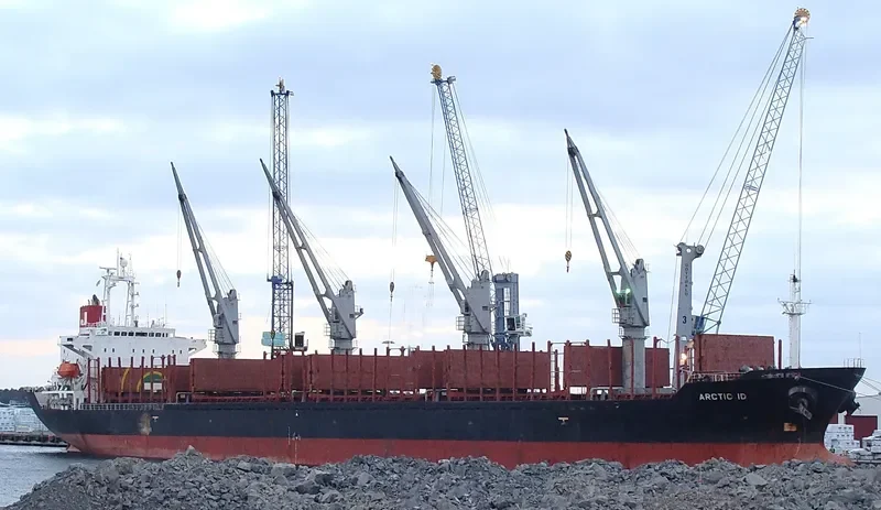 MICROSTEP Bulk Carrier IMO 9125918 photo 9