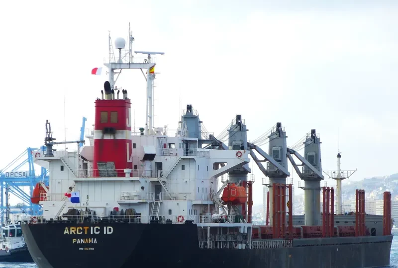 MICROSTEP Bulk Carrier IMO 9125918 photo 10