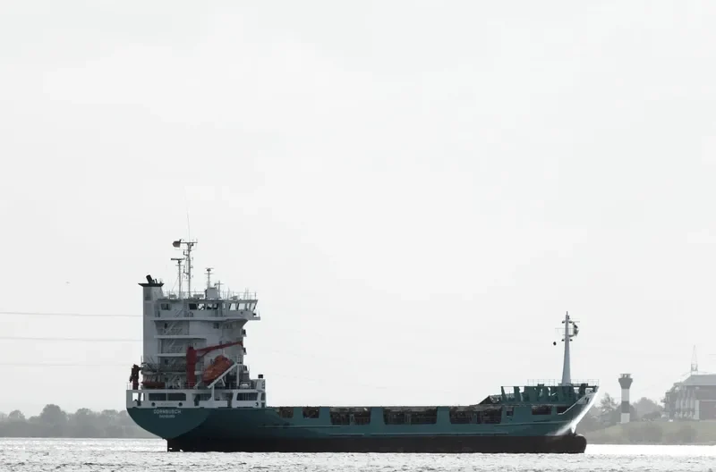 DORNBUSCH Container Ship IMO 9126211 photo 2