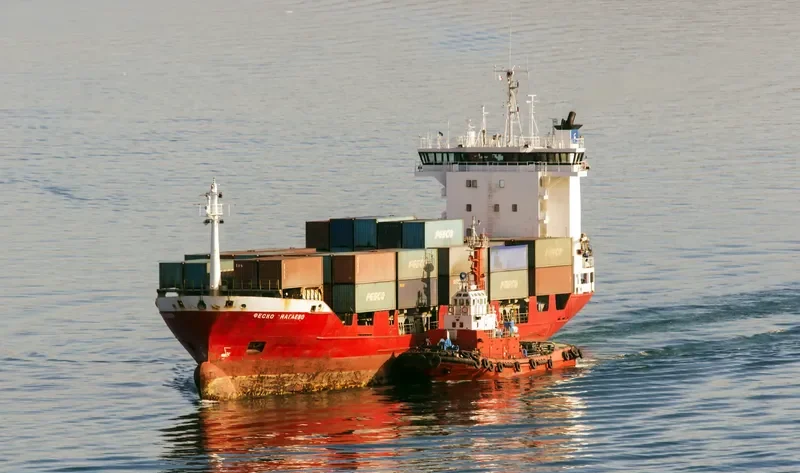 FESCO NAGAEVO Container Ship IMO 9126259 photo 2