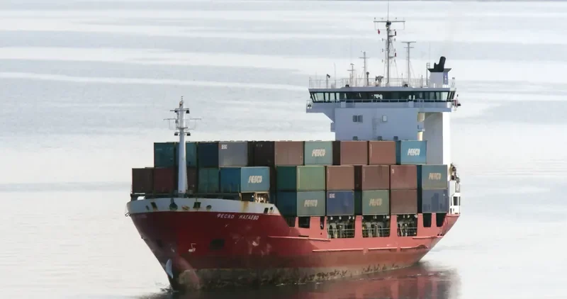 FESCO NAGAEVO Container Ship IMO 9126259 photo 3