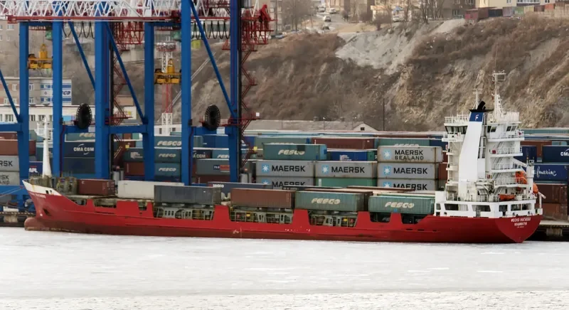 FESCO NAGAEVO Container Ship IMO 9126259 photo 4