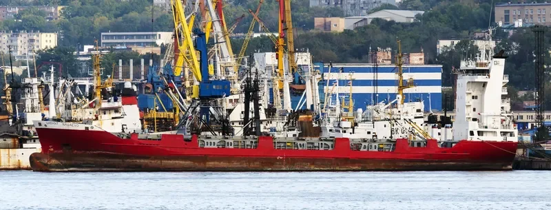 FESCO NAGAEVO Container Ship IMO 9126259 photo 7