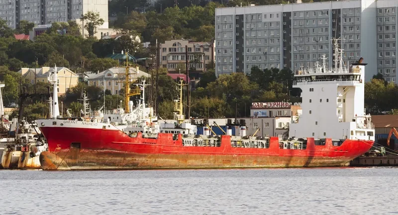 FESCO NAGAEVO Container Ship IMO 9126259 photo 8