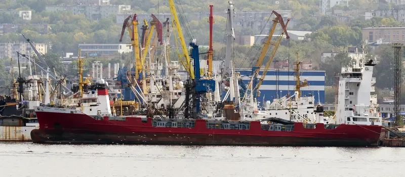 FESCO NAGAEVO Container Ship IMO 9126259 photo 9