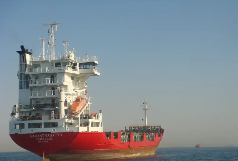 FESCO NAGAEVO Container Ship IMO 9126259 photo 10