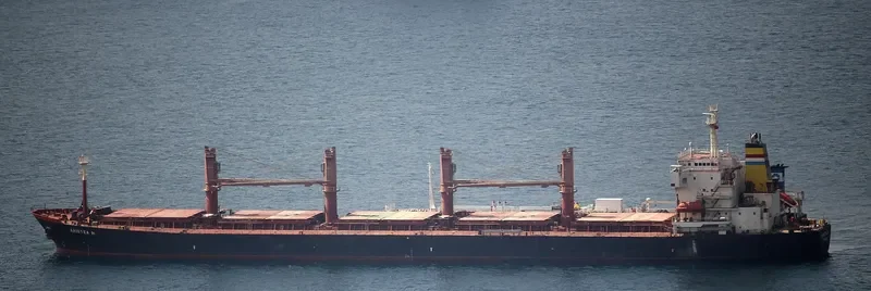 ARISTIMO Bulk Carrier IMO 9126302 photo 2