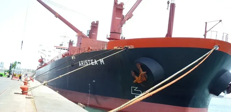 ARISTIMO Bulk Carrier IMO 9126302 photo 7