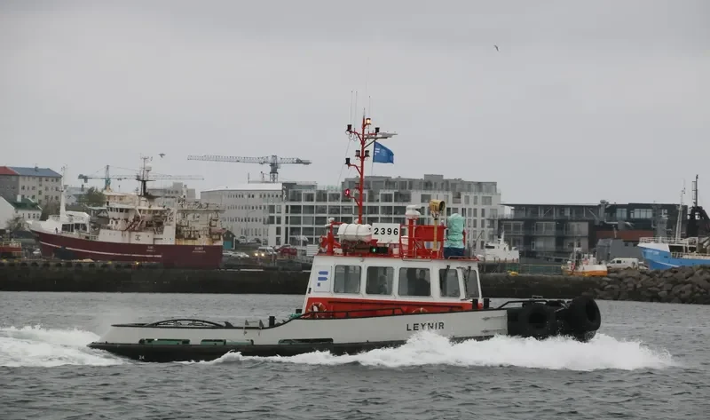 PILOT LEYNIR General Cargo IMO 9126388 photo 6