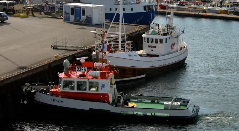 PILOT LEYNIR General Cargo IMO 9126388 photo 8