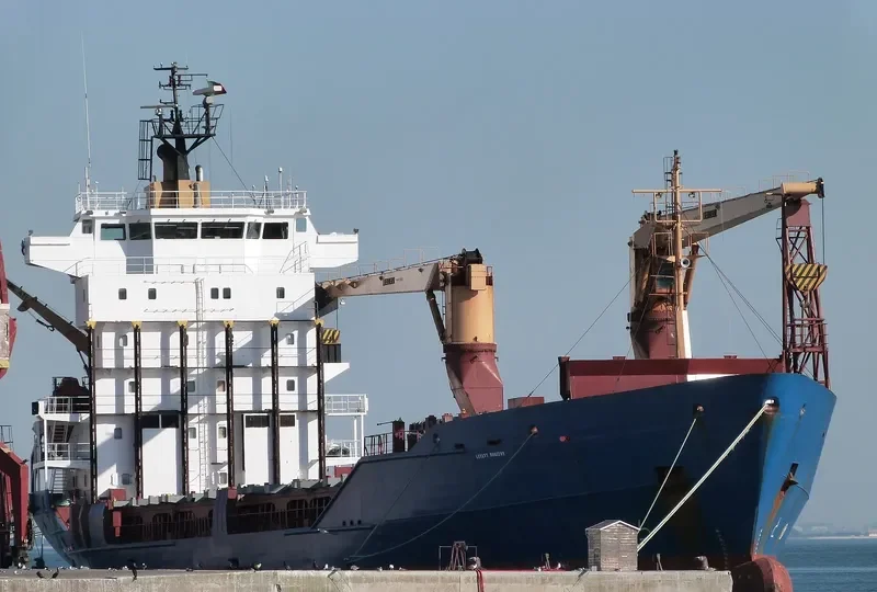 LEVANT HORIZON General Cargo IMO 9126467