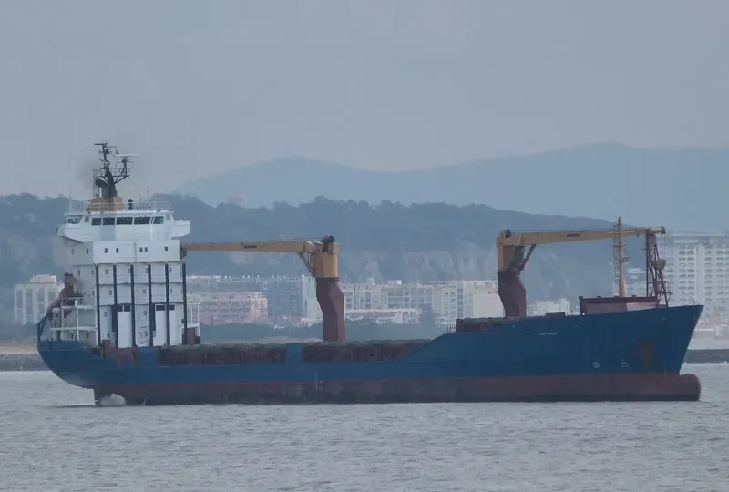 LEVANT HORIZON General Cargo IMO 9126467 photo 2