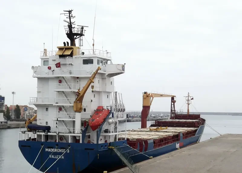 LEVANT HORIZON General Cargo IMO 9126467 photo 9