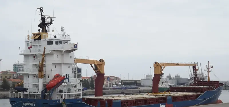 LEVANT HORIZON General Cargo IMO 9126467 photo 10
