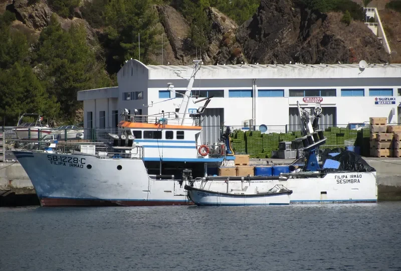 FILIPA IRMO General Cargo IMO 9126601 photo 5