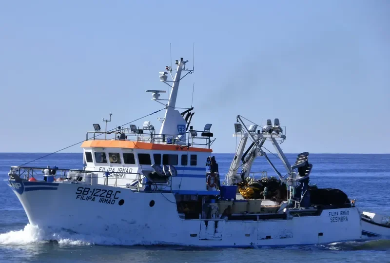 FILIPA IRMO General Cargo IMO 9126601 photo 6