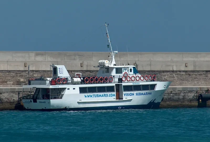 JACKELIN Passenger Ship IMO 9126651 photo 8