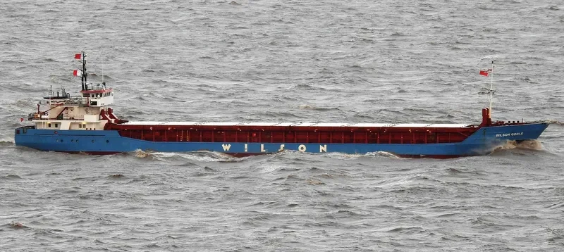 WILSON GOOLE Container Ship IMO 9126687 photo 2