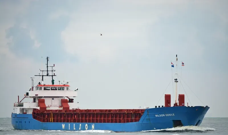 WILSON GOOLE Container Ship IMO 9126687 photo 4