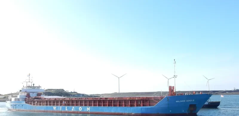 WILSON GOOLE Container Ship IMO 9126687 photo 7