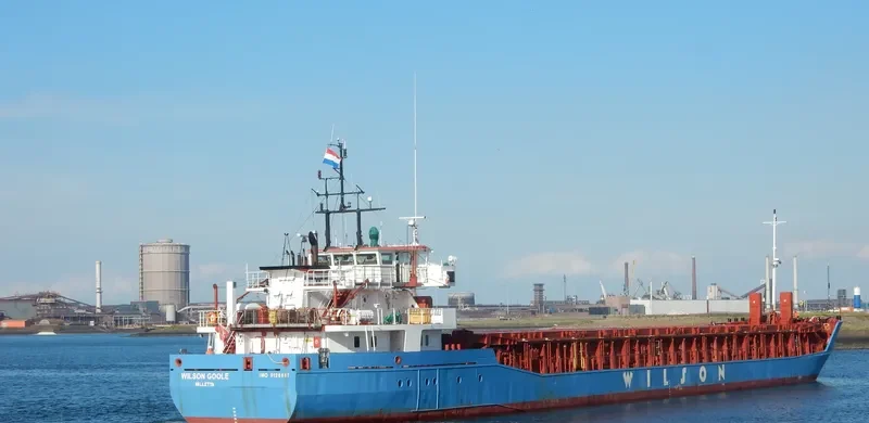 WILSON GOOLE Container Ship IMO 9126687 photo 8