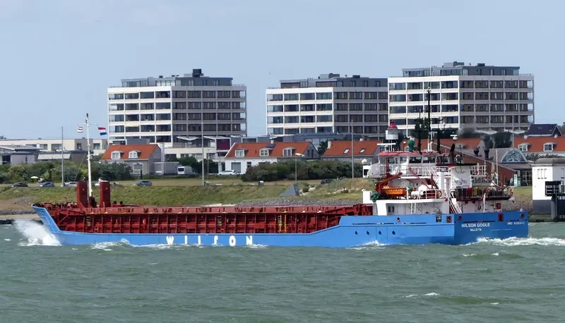 WILSON GOOLE Container Ship IMO 9126687 photo 10