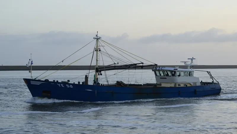 YE58 ICHTHUS General Cargo IMO 9126699 photo 2