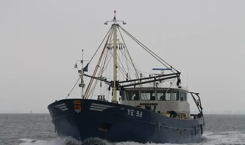 YE58 ICHTHUS General Cargo IMO 9126699 photo 3