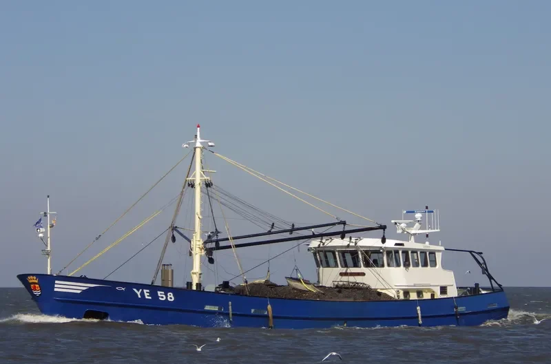 YE58 ICHTHUS General Cargo IMO 9126699 photo 4