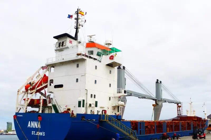 LAURA General Cargo IMO 9126716 photo 8