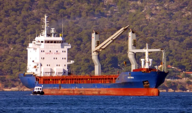 RS PIONEER General Cargo IMO 9126730