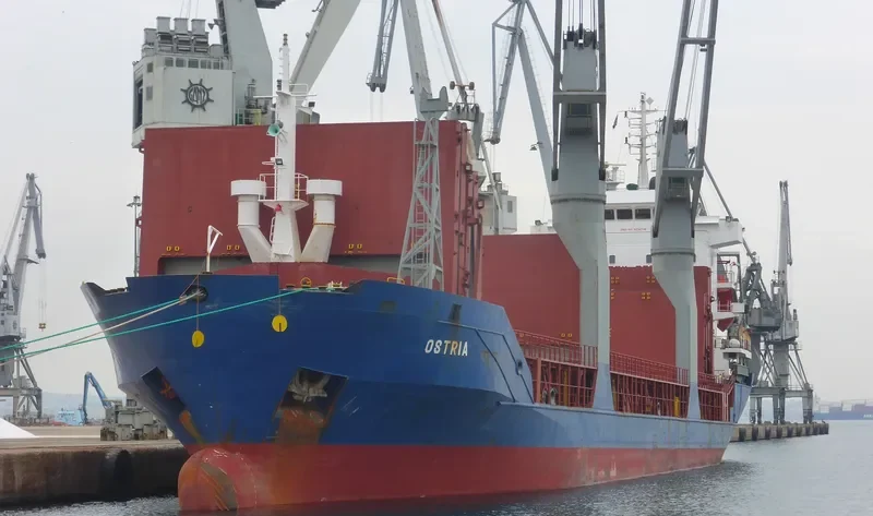 RS PIONEER General Cargo IMO 9126730 photo 2