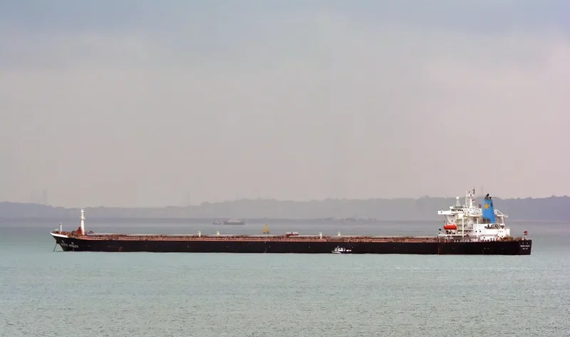 VITALITY Bulk Carrier IMO 9126778